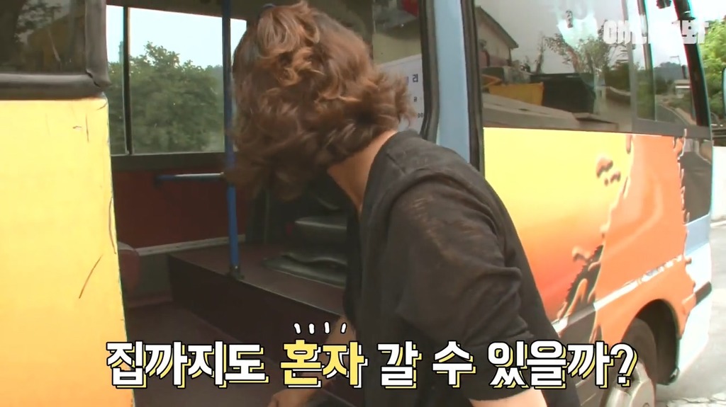 혼자 버스타고 지인 만나러가는 강아지 | 인스티즈