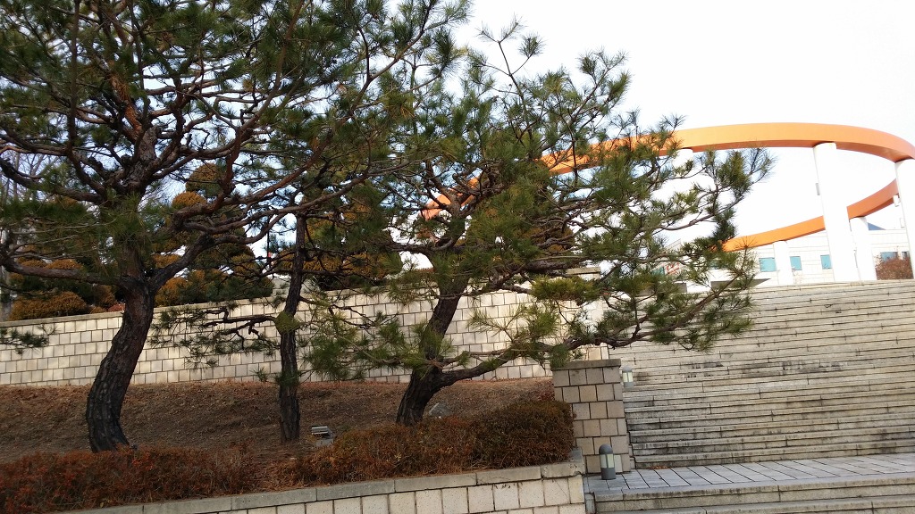 소나무회관 이미지