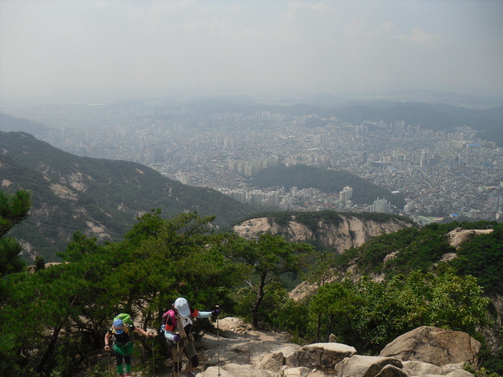 산들바람 이미지