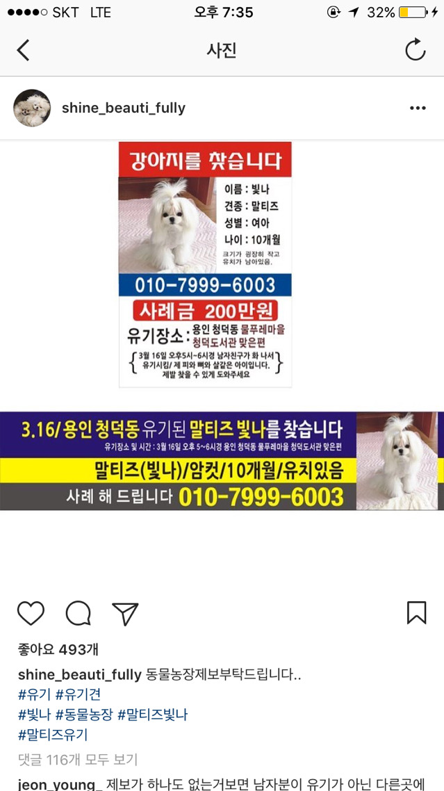 예비신랑이 유기한 빛나를 찾습니다 (동물농장 제보 참여 부탁드립니다) | 인스티즈