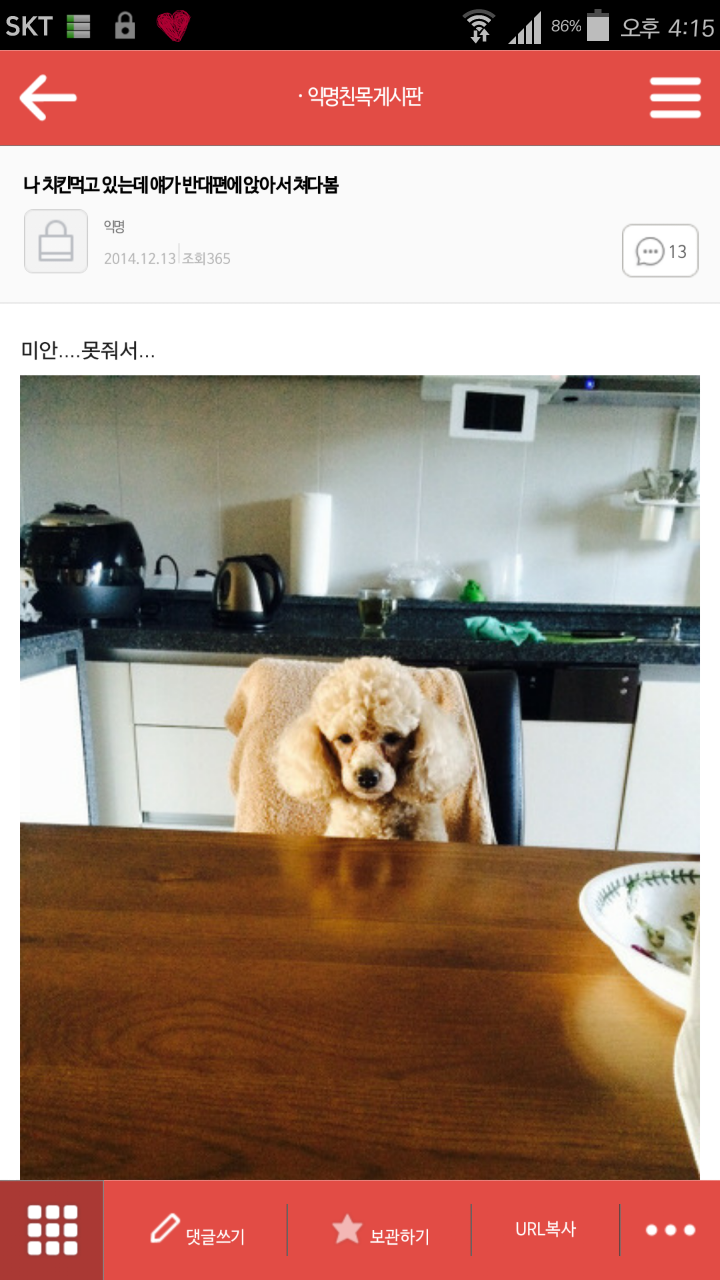 평화로운 익친이네 개들.jpg | 인스티즈