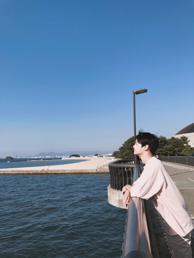 예그리나 이미지