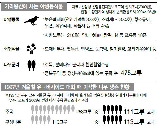 원시림 이미지