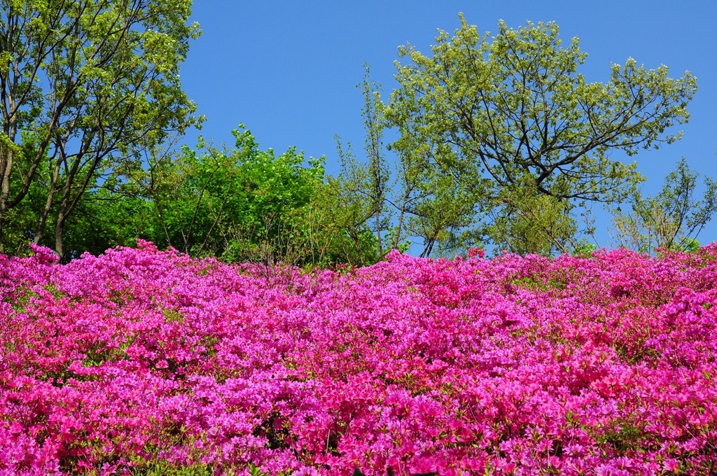 동산미용실 이미지