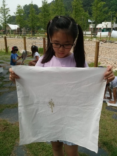 도일초등학교 이미지