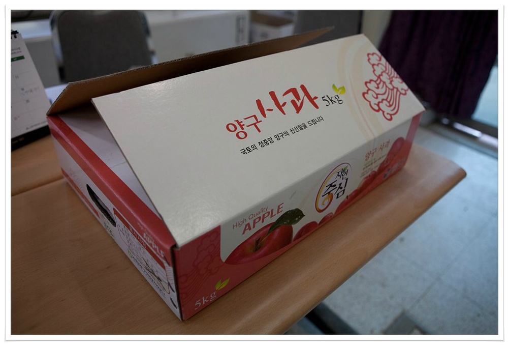 양구펀치볼사과 이미지