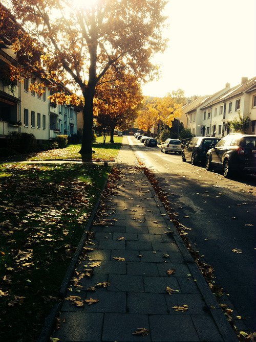 내 마음에 드는 여자들은 모두 너의 표절이다 | 인스티즈