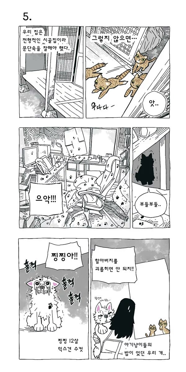 고양이 여덟마리와 사는만화 | 인스티즈