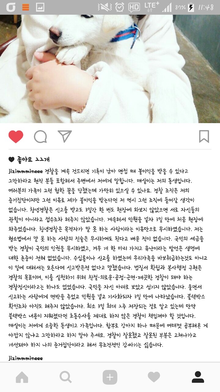 우리매실이를 위해 도와주세요. 택시기사가 개소주를 만들어 버렸습니다. 억울함을 풀어주세요 | 인스티즈