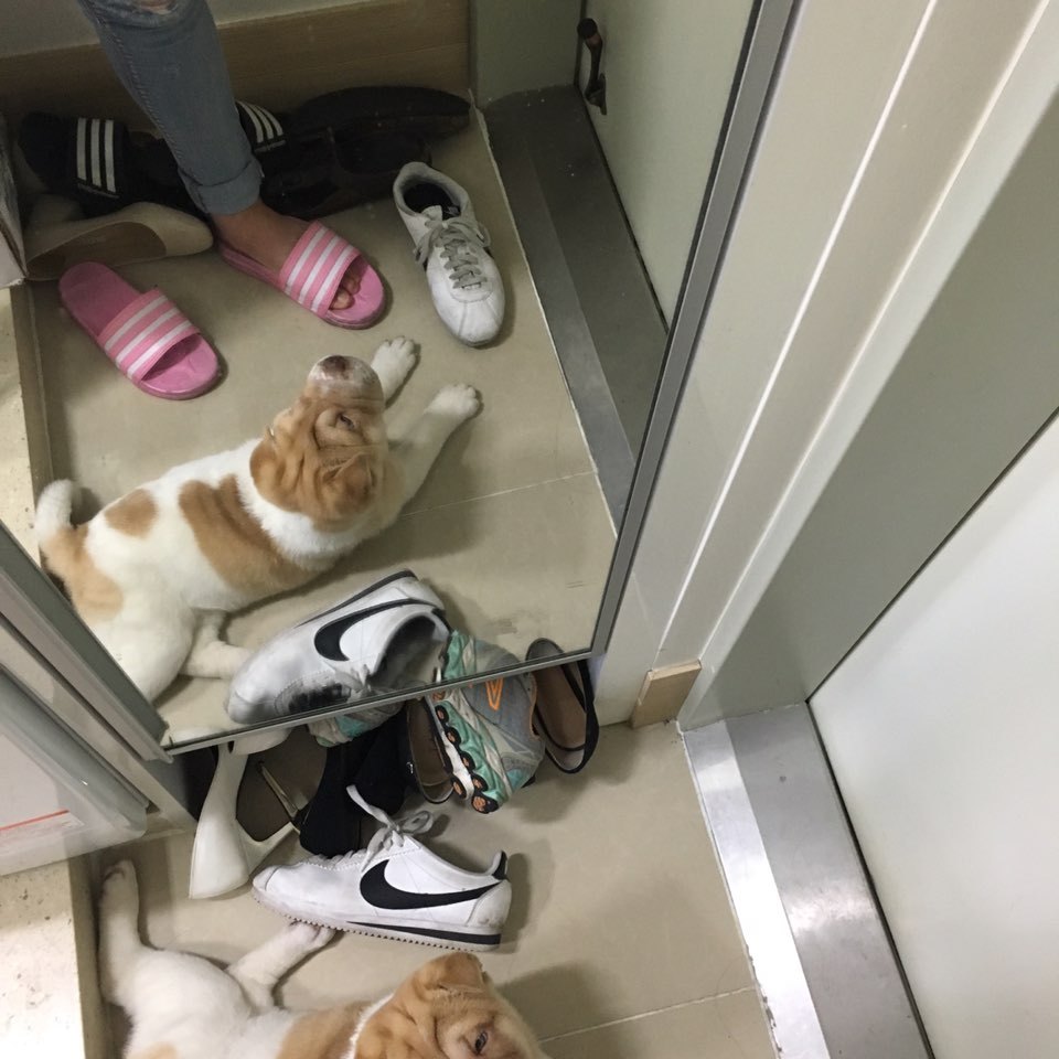 두식이 이미지