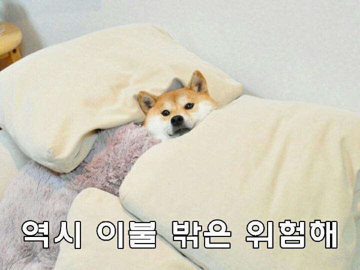 성격테스트 | 인스티즈