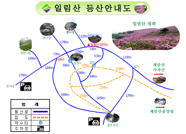오페라주유소 이미지