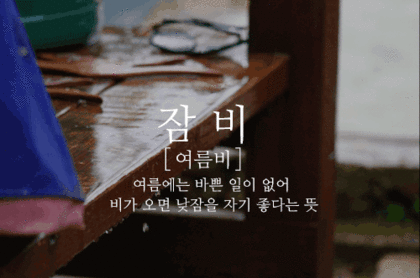 이쁜 우리말 비(雨) 이름 | 인스티즈