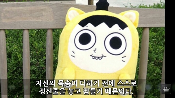 사람이 잠을 안자면 일어나는 현상 | 인스티즈