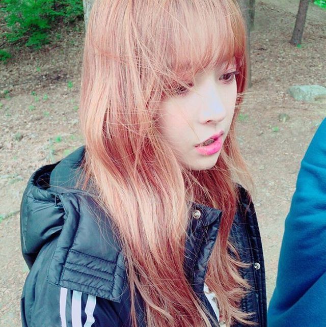 와우 공대장출신 헬로비너스 앨리스 | 인스티즈