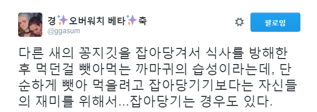 까마귀의 위엄.jpg | 인스티즈