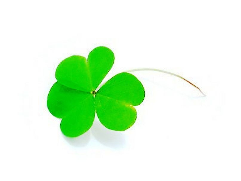 2639B5395715063E2FB5CD