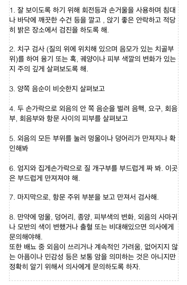 내 생식기 자가검진은 어떻게 해요? (여성 필독) (그림 있음) | 인스티즈