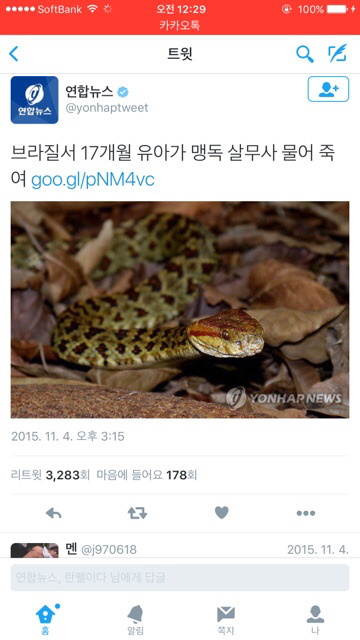 브라질서 17개월 유아가 살무사 물어죽여... | 인스티즈