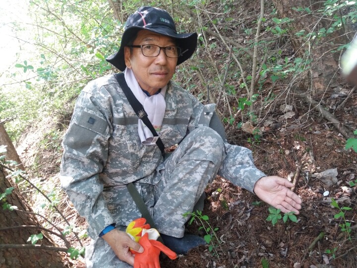 심 이미지