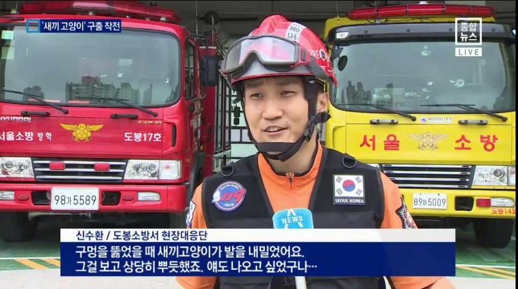 새끼 고양이 구출 작전.jpgif | 인스티즈