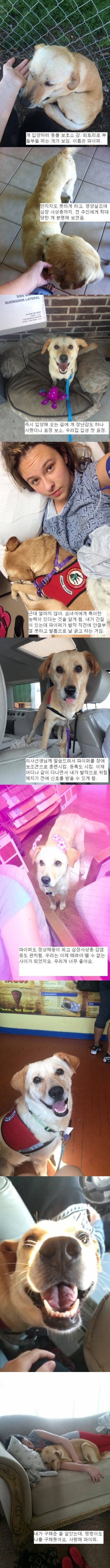 사랑받기 전과 사랑받은 후 | 인스티즈