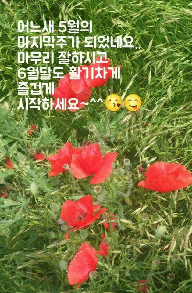 꽃사람 이미지