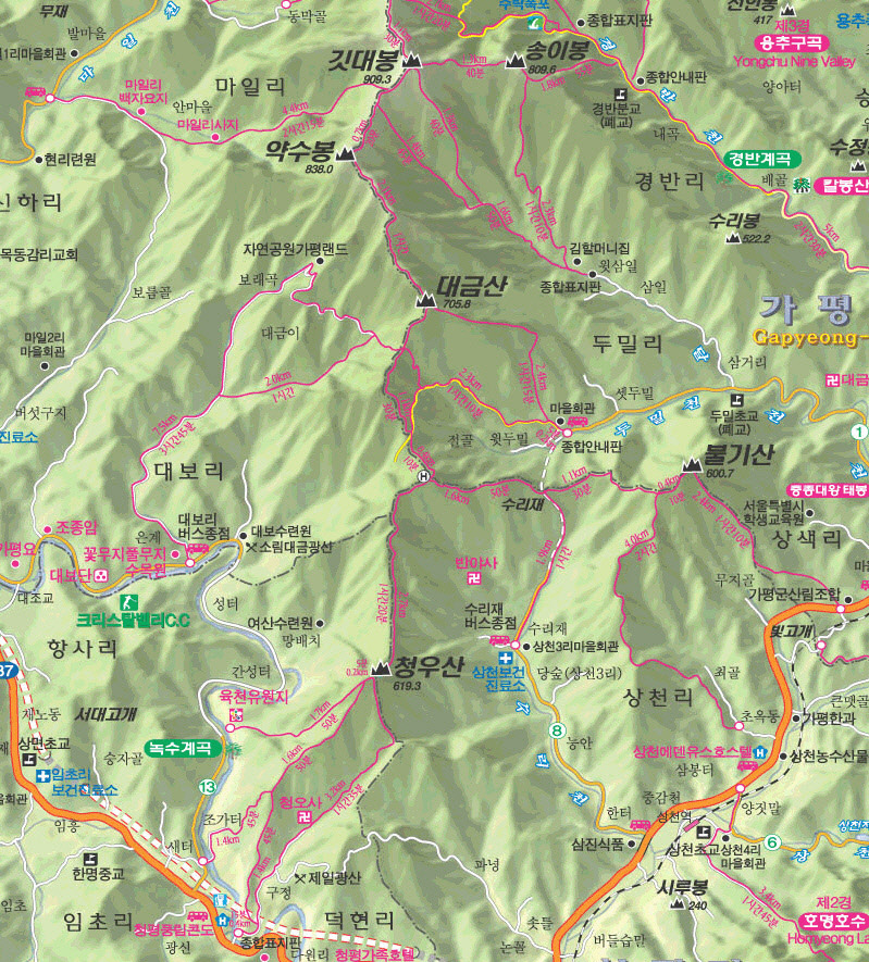 Daum카페