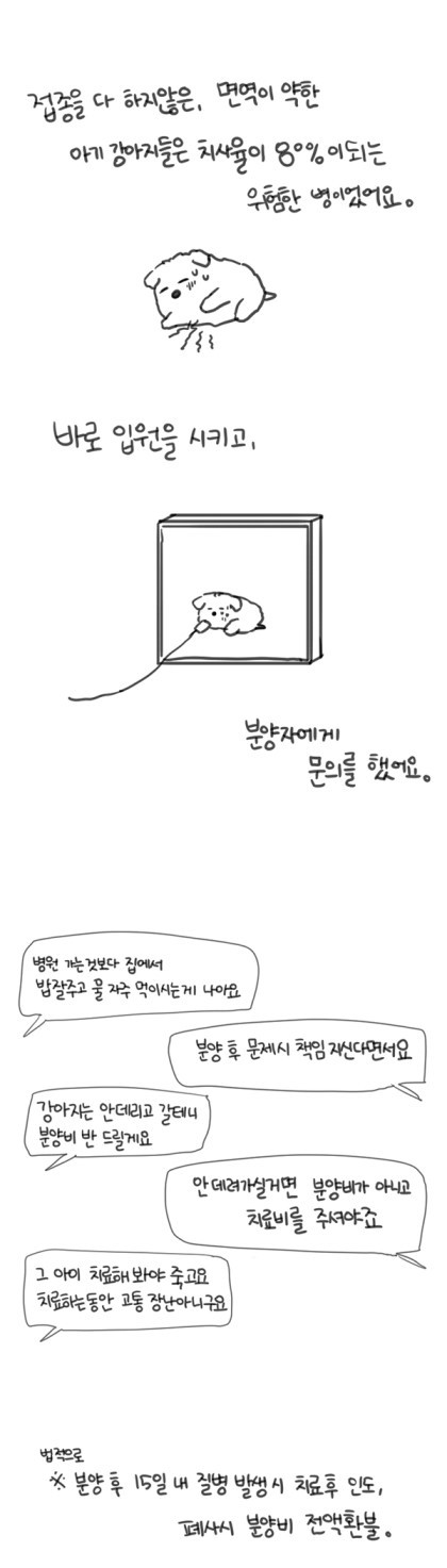 강아지 분양 사기 문제 (다음 웹툰 대새녀 그린 여은 작가) | 인스티즈