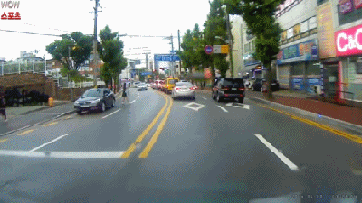 제발 무단횡단 하지 맙시다...gif | 인스티즈