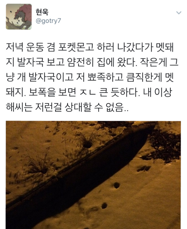 내 이상해씨는 저런걸 상대할 수 없음..(feat.멧돼지) | 인스티즈