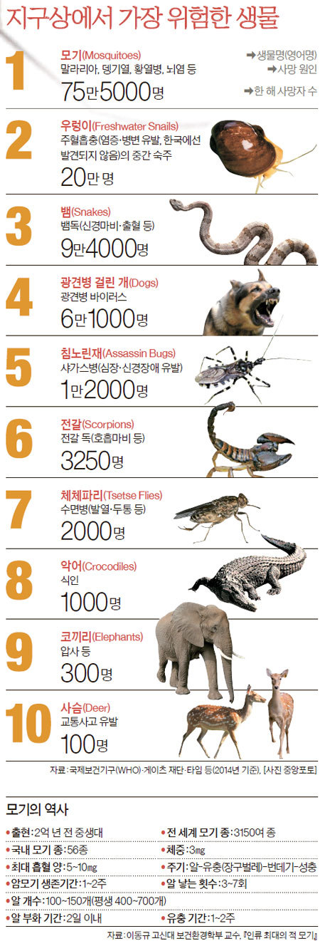 지구상에서 가장 위험한 생물 | 인스티즈