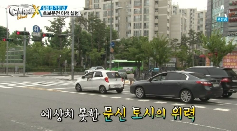 문신토시가 존재하는 이유 | 인스티즈