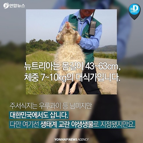다시 관심받는 뉴트리아의 항변 .. | 인스티즈