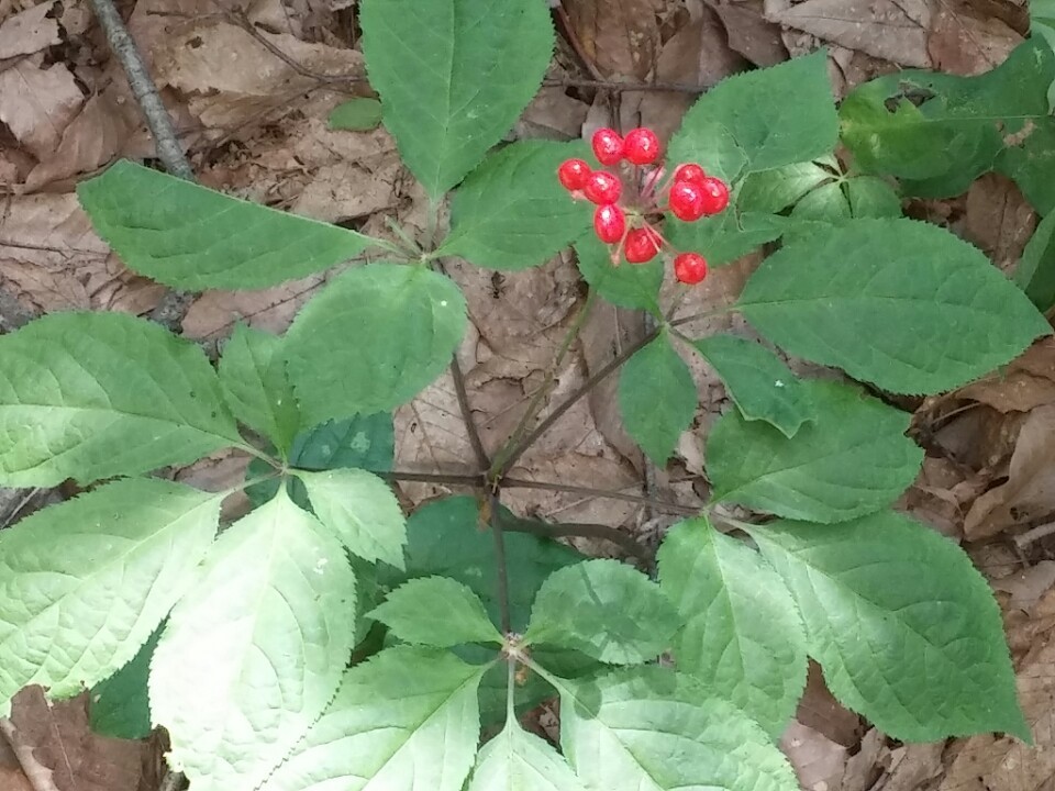 산양농업협동조합 이미지