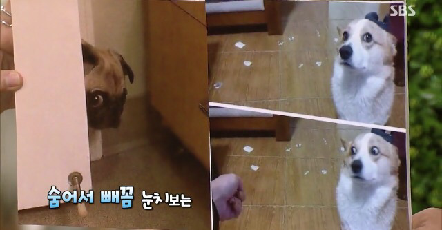 눈치없다 욕먹고 있는 장예원 아나운서 방송의 앞뒤상황 | 인스티즈