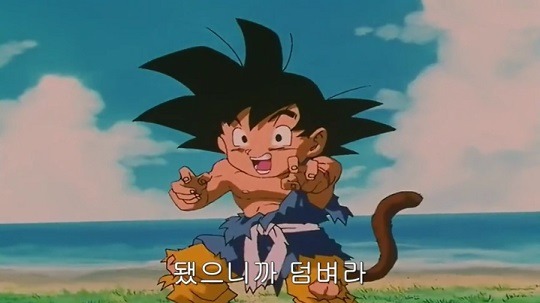 손가 이미지