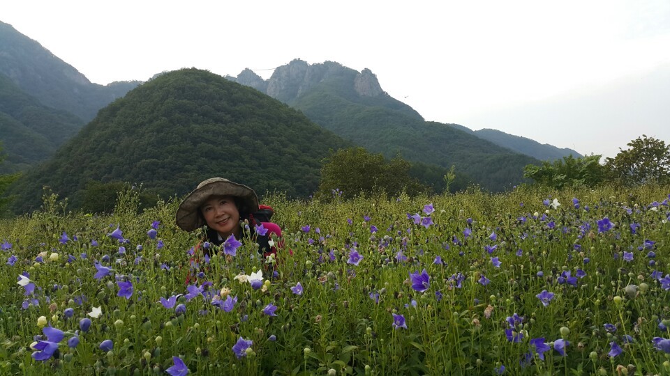 여기서우리가 이미지