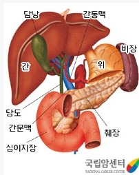 베스트간호학원 이미지