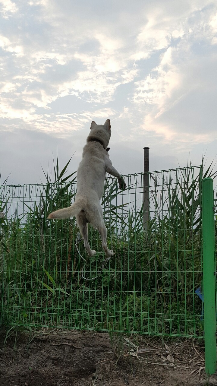 일탈을꿈꾸며 이미지