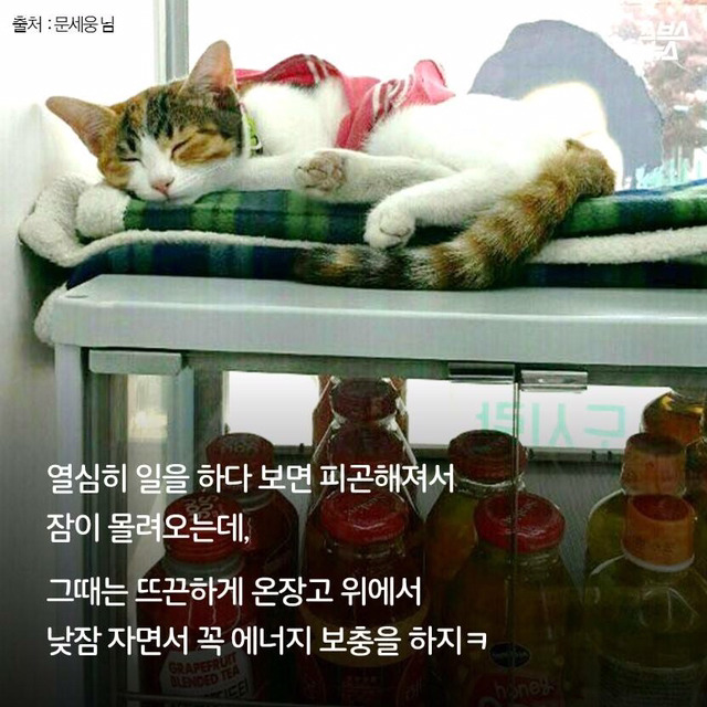 편순이 처음 보냥? | 인스티즈