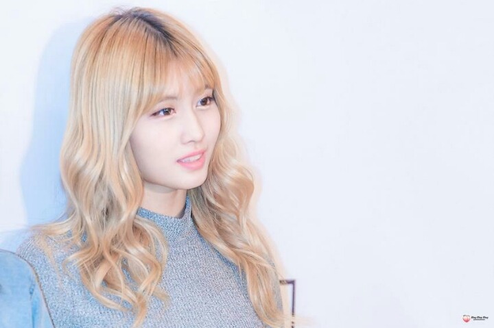어제자 트와이스 사진 모음 | 인스티즈