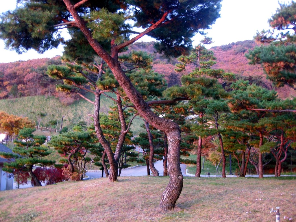 지품 이미지