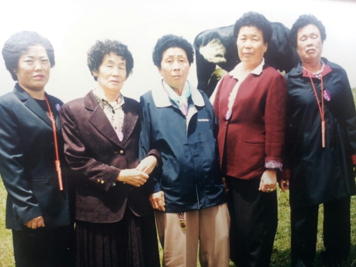 사진마을 이미지