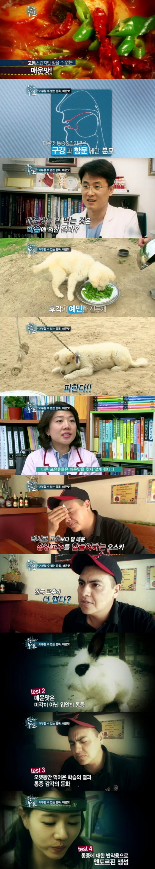 매운맛의 진실 | 인스티즈