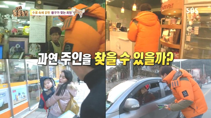 [동물농장] 수로 속에 갇힌 황구가 찾는 희망.JPG (감동주의) | 인스티즈