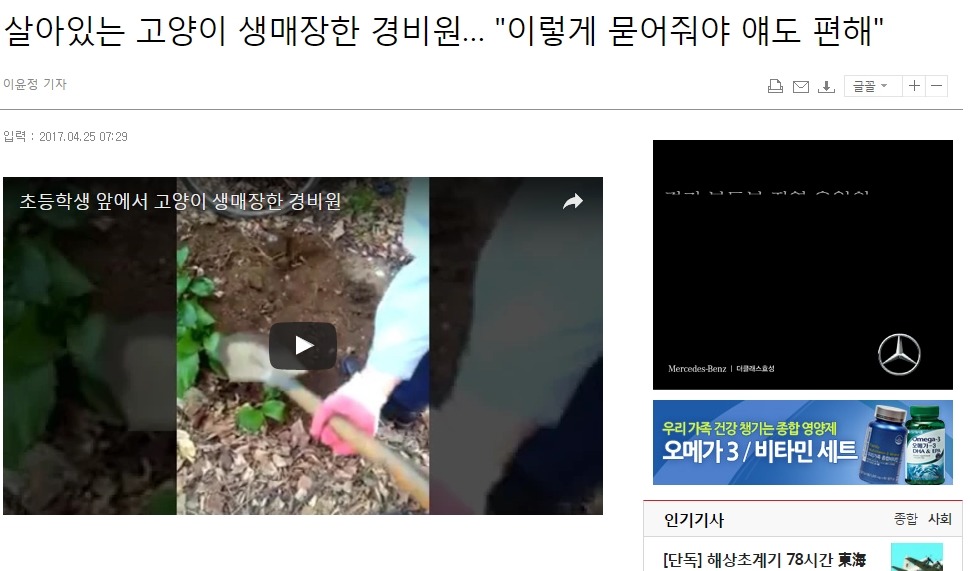 고양이 생매장하는 경비원.gif (혐오주의) | 인스티즈
