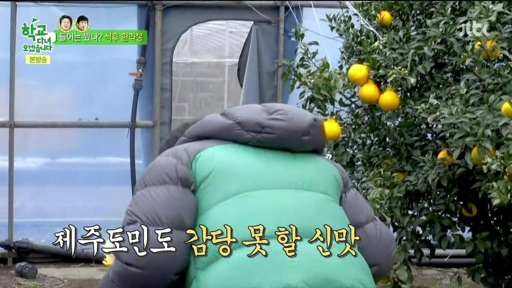 한라봉도 착하게 먹는 김희원 | 인스티즈