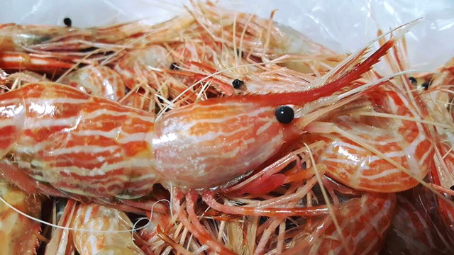 독도상회 이미지
