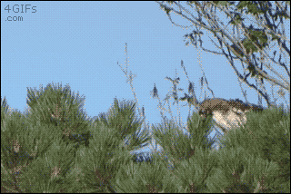 필사의 탈출 .GIF | 인스티즈